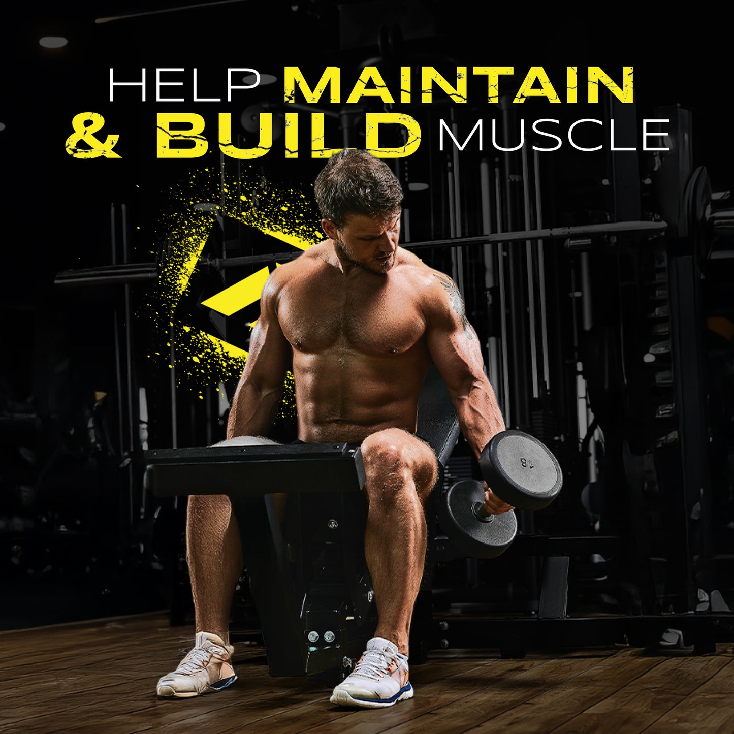 Fitness athlete bench curling dumbbell, build muscle message with gym workout supplement lifestyle image