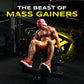 Anabolix mass gainer athlete performing dumbbell curls on bench with “mass gainers” gym promo text