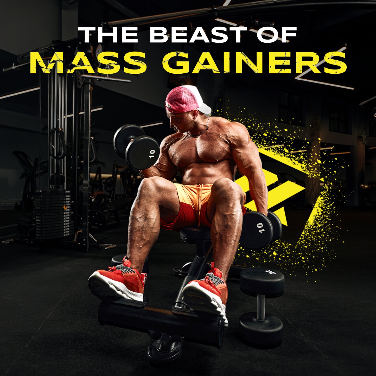 Anabolix mass gainer athlete performing dumbbell curls on bench with “mass gainers” gym promo text